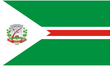 Vlag van Tapejara