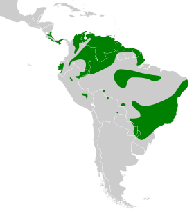 Distribución geográfica del mosquerito amarillo.