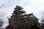 Miniatura para Castillo Okayama