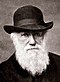 Charles Darwin 1880.jpg