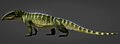 Chasmatosuchus