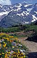 Col du Lautaret (Dauphiné)