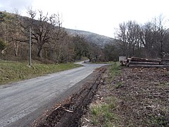 Départ de la route forestière de la forêt des Fanges au col du Campérié