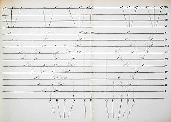 This tree diagram, used to show the divergence of species, is the only illustration in the Origin of Species. Darwin divergence.jpg