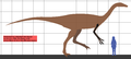 Deinocheirus.