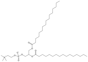 Dipalmitoylphosphatidylcholine.svg