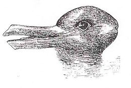 260px-Duck-Rabbit_illusion.jpg