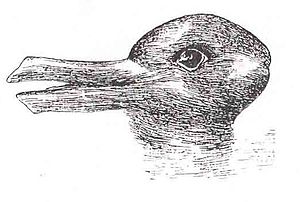 The duck-rabbit, made famous by Wittgenstein