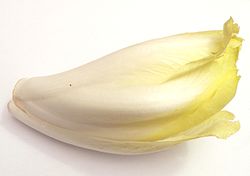 250px-Endive_p1160063.jpg