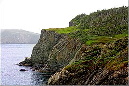 Steile kliffen aan de Skerwink Trail nabij Port Rexton