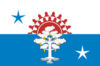 Serov bayrağı