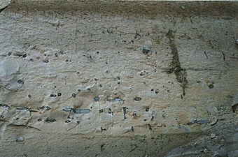 Laagpakket met pijp- en plaatvormige vuurstenen in het onderste deel van de Kalksteen van Emael in de ENCI