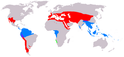 Distribution, separated by genus: Green – Welwitschia Blue – Gnetum Red – Ephedra Purple – Gnetum and Ephedra