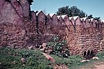 The Harar city wall (jugol).
