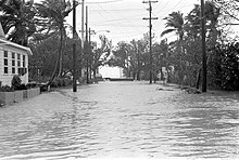 Слегка приподнятый снимок, сделанный посреди затопленной улицы. Пальмы, столбы и жилые дома видны как с левой, так и с правой стороны улицы.