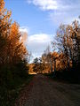 Automne à Fort Liard en septembre 2006