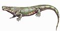 石炭紀末期至二叠纪早期的湖龙属體長可達1.5米[13]，是地球上最早的陆栖大型四足食肉动物