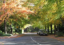 Linnaeus Way at ANU Linnaeus Way, Canberra (131308881).jpg