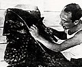 Скульптор Морис Аскалон за работой завершает чеканку медной repoussé рельефной скульптуры около 1939 года.