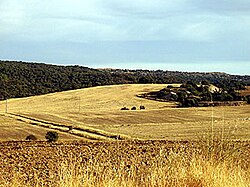 Landscape of Monsalupe.