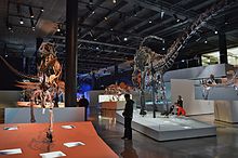 Morian Hall of Paleontology Morian Hall of Paleontology - Houston Museum of Natural Science 2.JPG