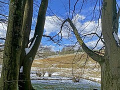 NSG Tenter Bach – Blick nach Baisiepen