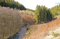 Nationalpark Eifel-1.jpg