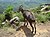 Nilgiri Tahr, Kerala.jpg