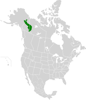 Description de l'image Ogilvie-MacKenzie alpine tundra map.svg.