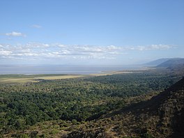 Large lake into horizon center and left, forested cliffs to right, forest in foreground.