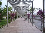 Miniatura para Pérgola