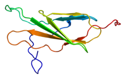 Белок EPHA1 PDB 1x5a.png