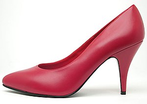 A high-heeled ladies shoe.