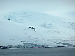 Blick von der English Strait auf den Rousseau Peak oberhalb der Eismassen des Fuerza-Aérea-Gletschers mit der Arturo-Prat-Station im Vordergrund