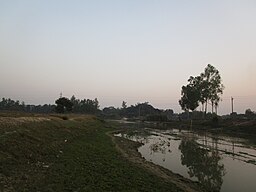 সেনুয়া নদী