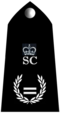 Assistant Chief Officer MSC