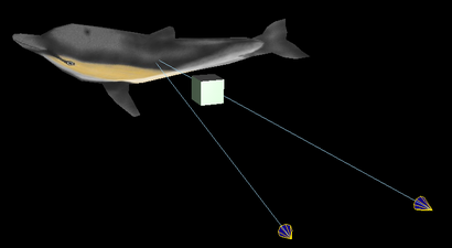 Image de trois quarts d'un dauphin devant lequel est situé un cube, et duquel partent deux flèches symbolisant le trajet vers deux yeux placés à faible distance l'un de l'autre.