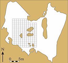 План пещеры Сварткранс (Гаутенг, Южная Африка), показывающий сетку раскопок К. К. Брейна в 1979 г.