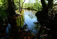 Traunbach bei Börfink