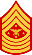 E-9 Senior Enlisted Advisor to the Chairman (SEAC)