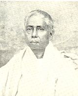 Harinavi