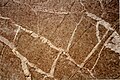 Veined gabbro with 90° cracks, near Sgurr na Stri, Skye