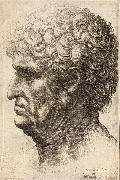 File:Wenceslas Hollar - Man with thick curly hair (State 2).jpg