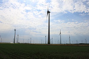 Windpark Andau/Halbturn im Burgenland; Blick nach Osten.