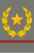 Югославия-Армия-ОФ-10 (1943–1947) .svg