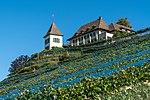 Landhaus Turmgut mit Rebturm