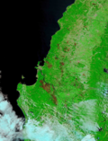 Gambar mini seharga Kebakaran hutan dan lahan di Chili 2023