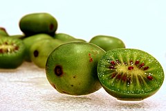 Baby Kiwi Fruit