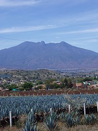 Grad Tequila između nasada agave i vulkana Tequila