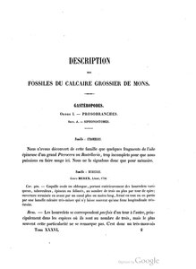 Description des fossiles du calcaire grossier de Mons, Prosobranches, Section A, Siphonostomes, 1871 (avec François-Léopold Cornet).